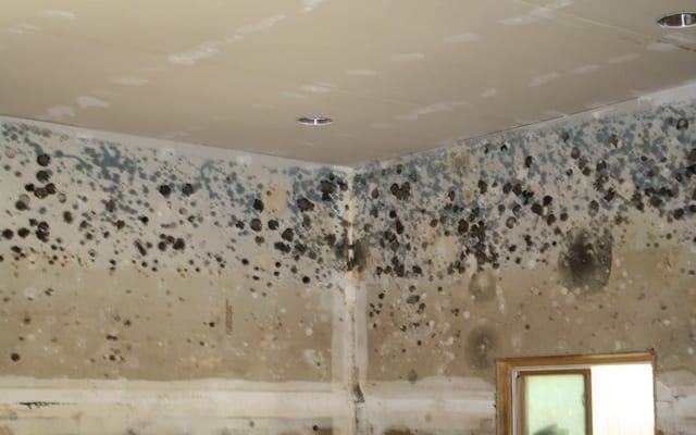Flood damage restoration specialists at a commercial property