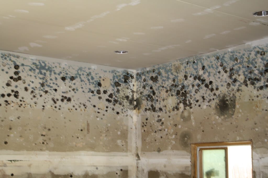 Flood damage restoration specialists at a commercial property