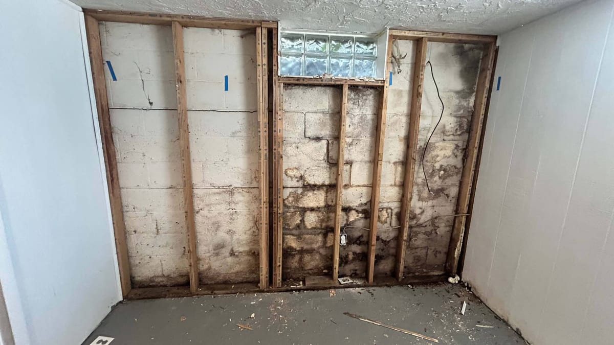 Mold remediation specialists performing professional mold removal and containment